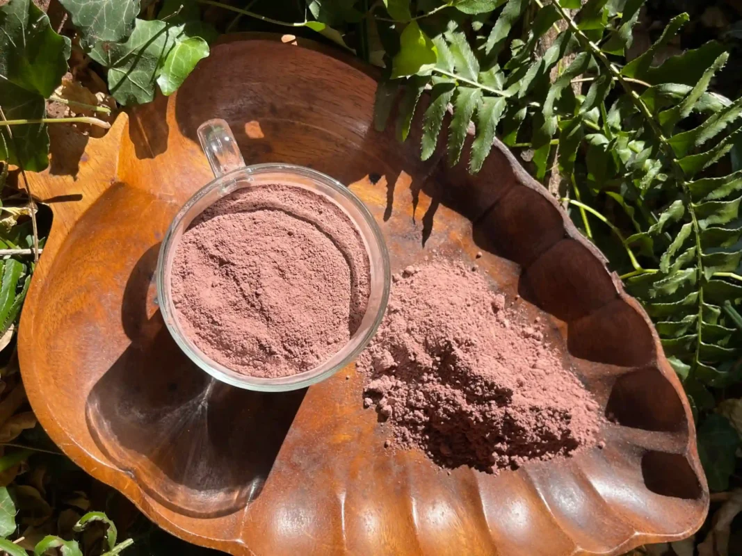 How to store Mimosa Hostilis root bark powder in a clean airtight container