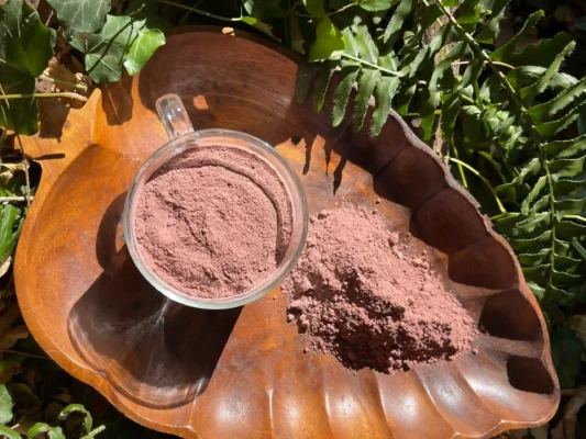 How to store Mimosa Hostilis root bark powder in a clean airtight container